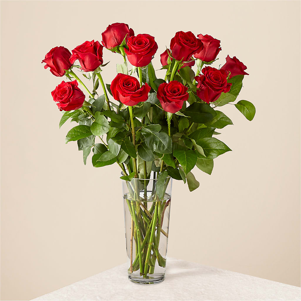 Long Stem Red Rose Bouquet – MOREE'S FLORIST & MORE, Columbia MS