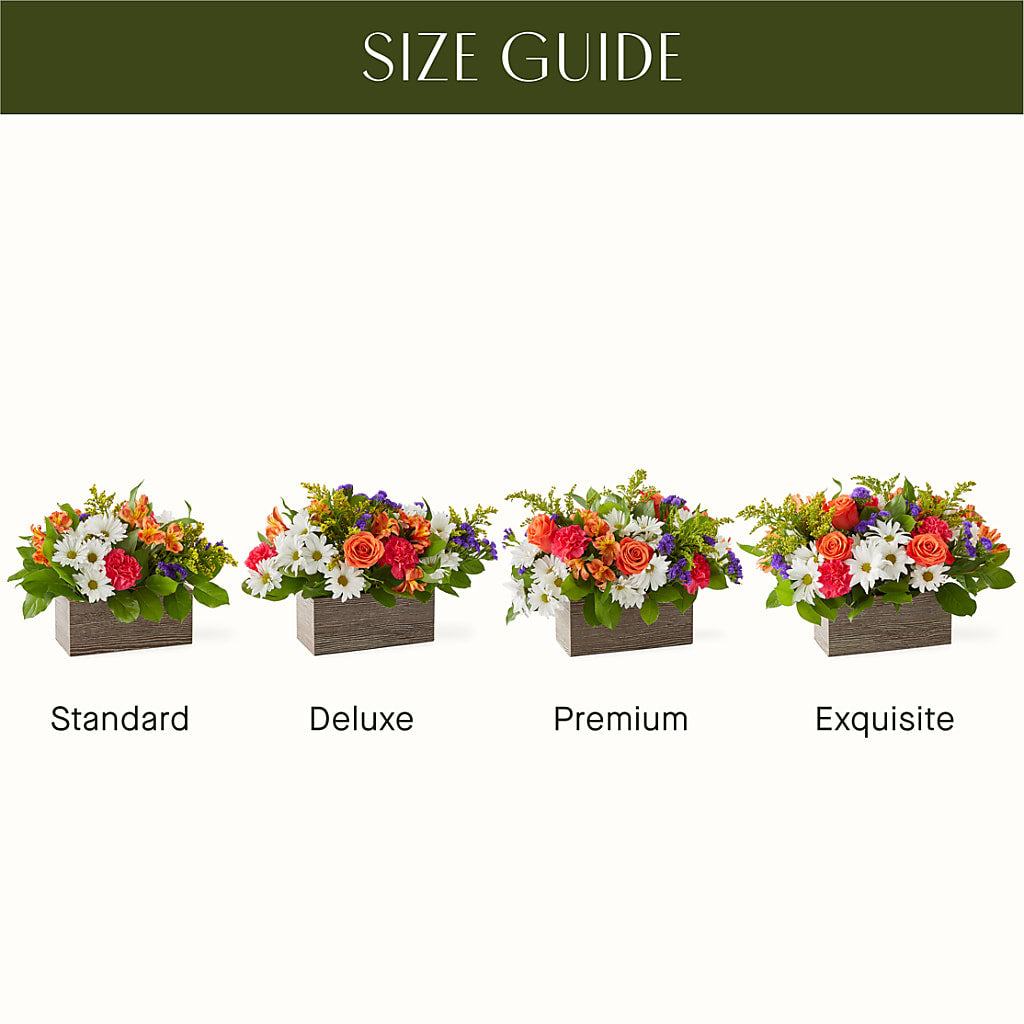 Oopsie Daisy Box Bouquet – MOREE'S FLORIST & MORE, Columbia MS
