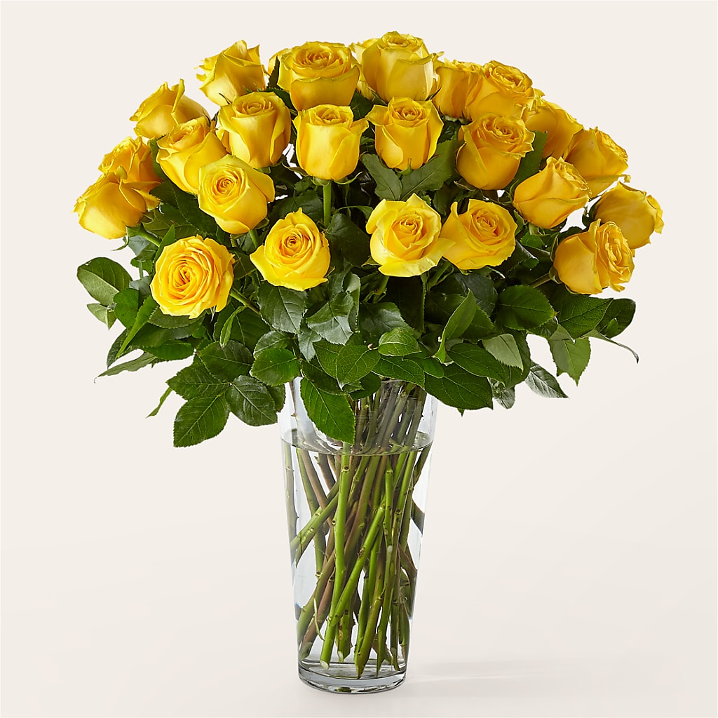 Long Stem Yellow Rose Bouquet – MOREE'S FLORIST & MORE, Columbia MS