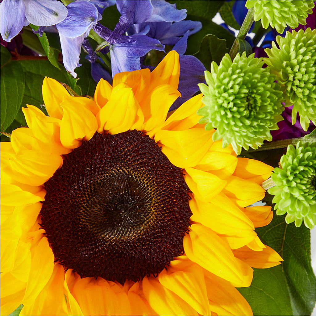 Catching Rays Bouquet – MOREE'S FLORIST & MORE, Columbia MS