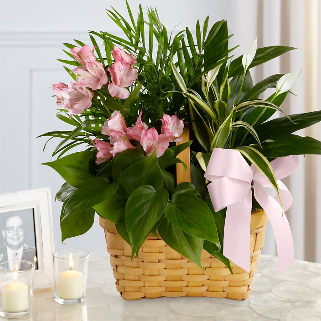 Living Spirit Dishgarden – MOREE'S FLORIST & MORE, Columbia MS