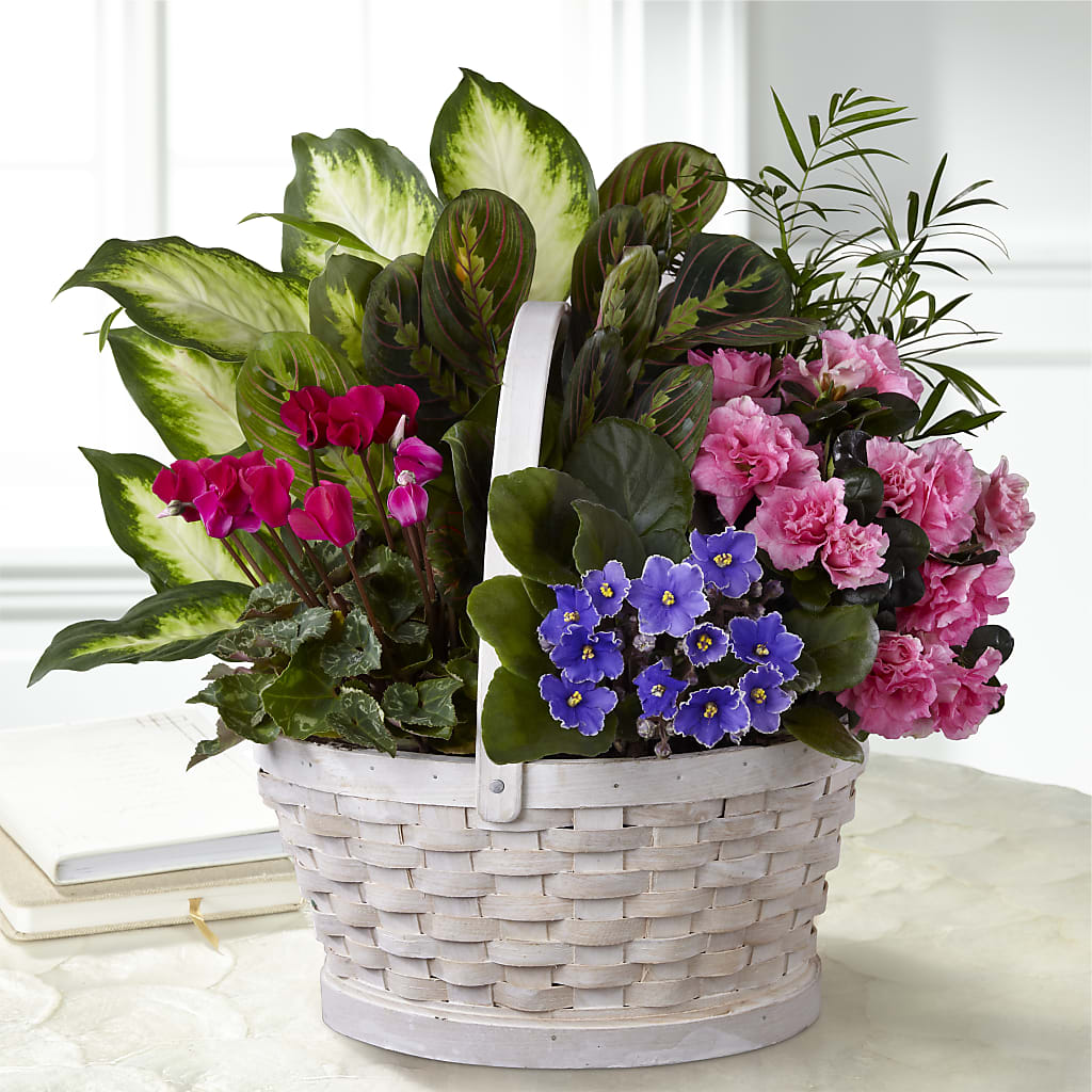Peaceful Garden Planter – MOREE'S FLORIST & MORE, Columbia MS