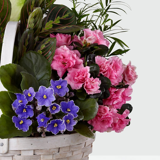 Peaceful Garden Planter – MOREE'S FLORIST & MORE, Columbia MS