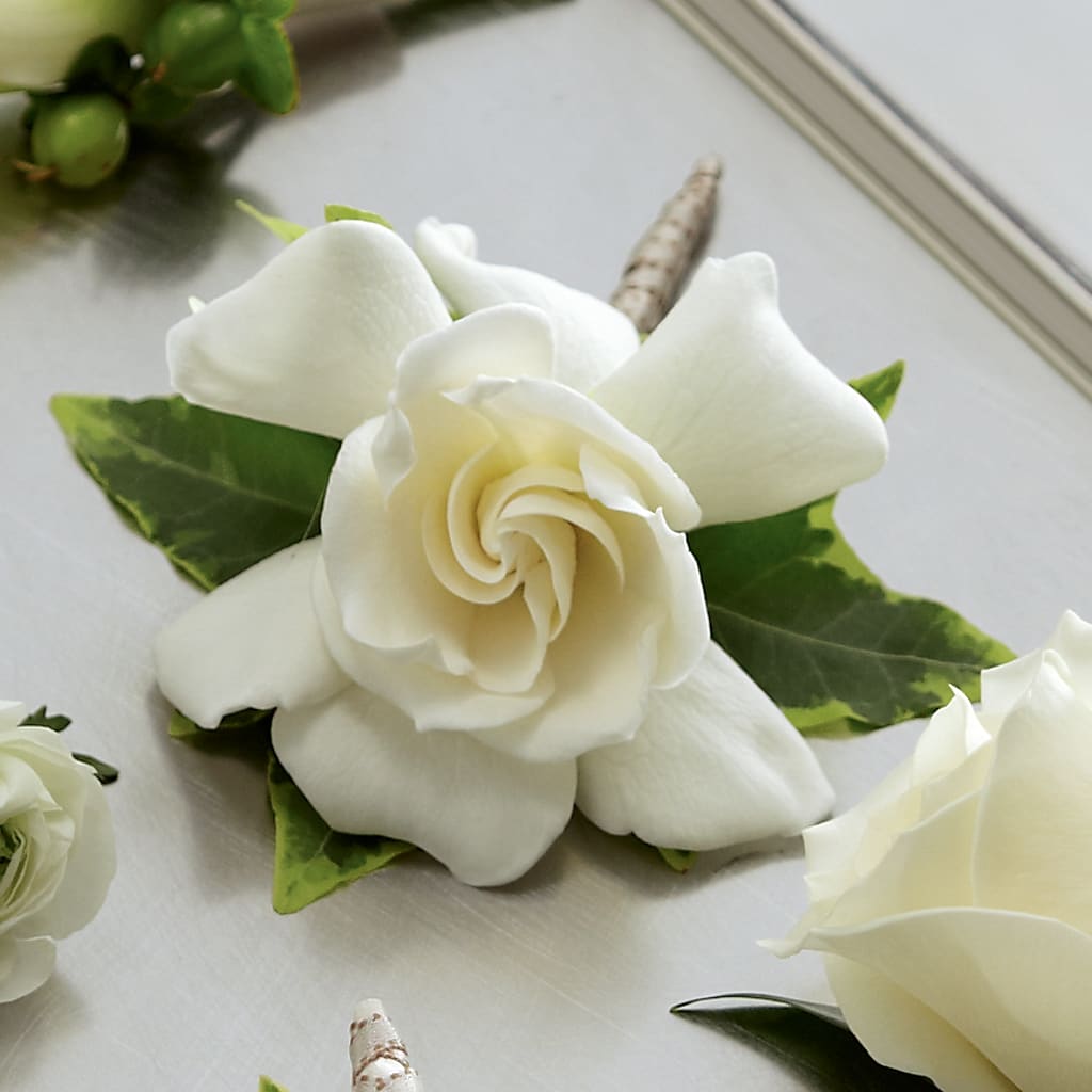 Gardenia Boutonniere – MOREE'S FLORIST & MORE, Columbia MS