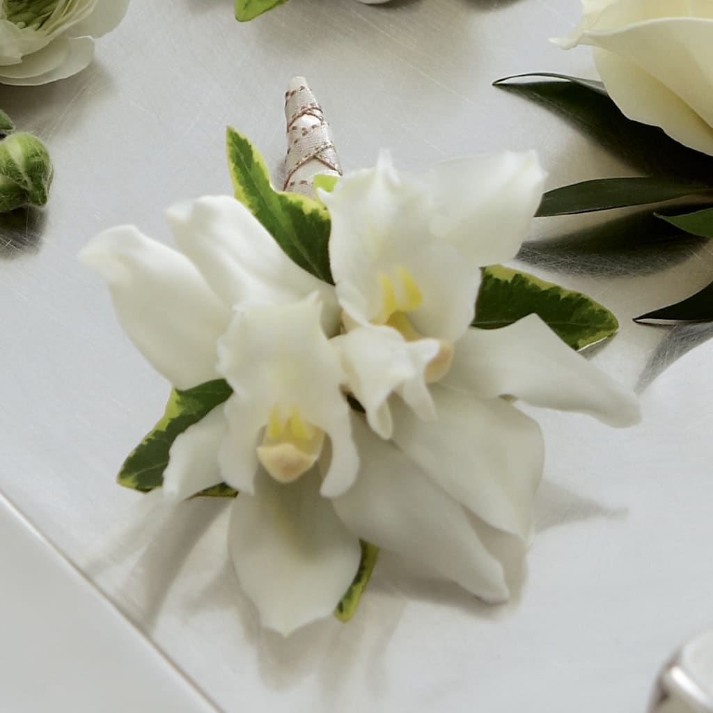 White Mini Cymbidium Boutonniere – MOREE'S FLORIST & MORE, Columbia MS