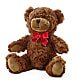 Adorable Plush Bear – MOREE'S FLORIST & MORE, Columbia MS