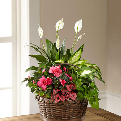 Dream in Pink Dishgarden – MOREE'S FLORIST & MORE, Columbia MS