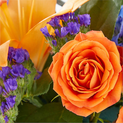 Radiant Citrus Box Bouquet – MOREE'S FLORIST & MORE, Columbia MS