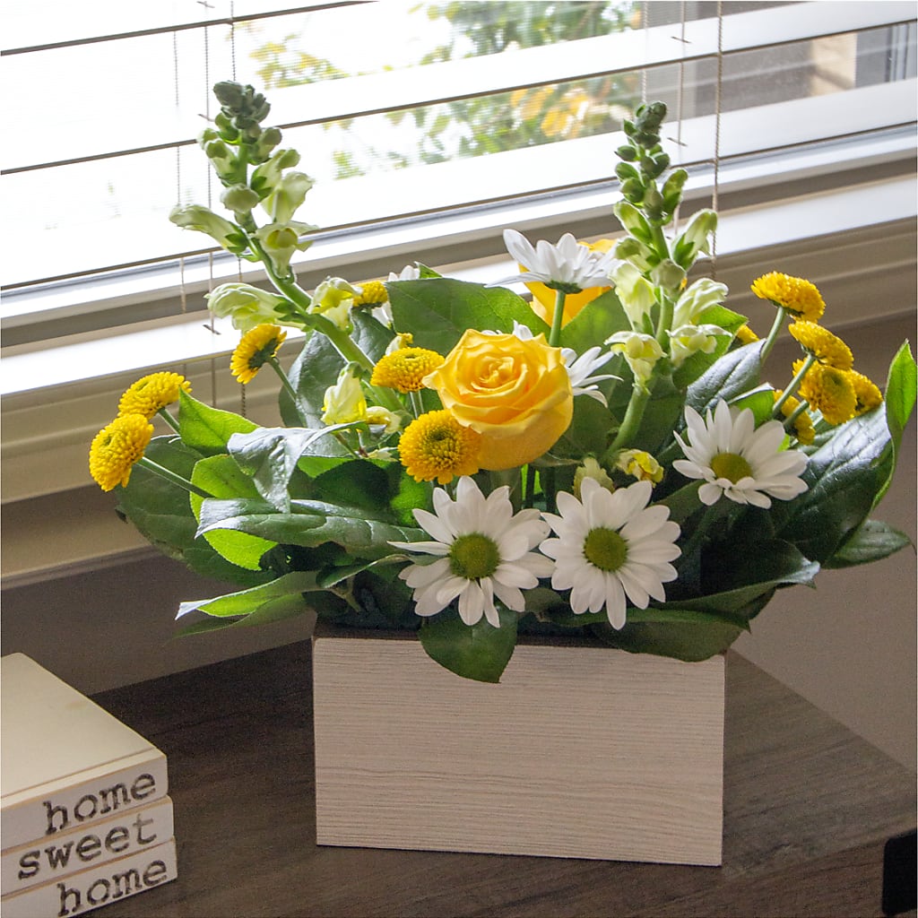 Sun Salutation Box Bouquet – MOREE'S FLORIST & MORE, Columbia MS