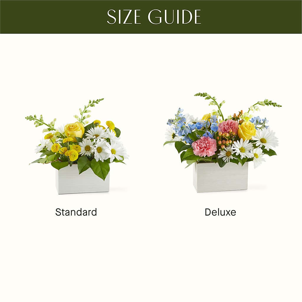 Sun Salutation Box Bouquet – MOREE'S FLORIST & MORE, Columbia MS