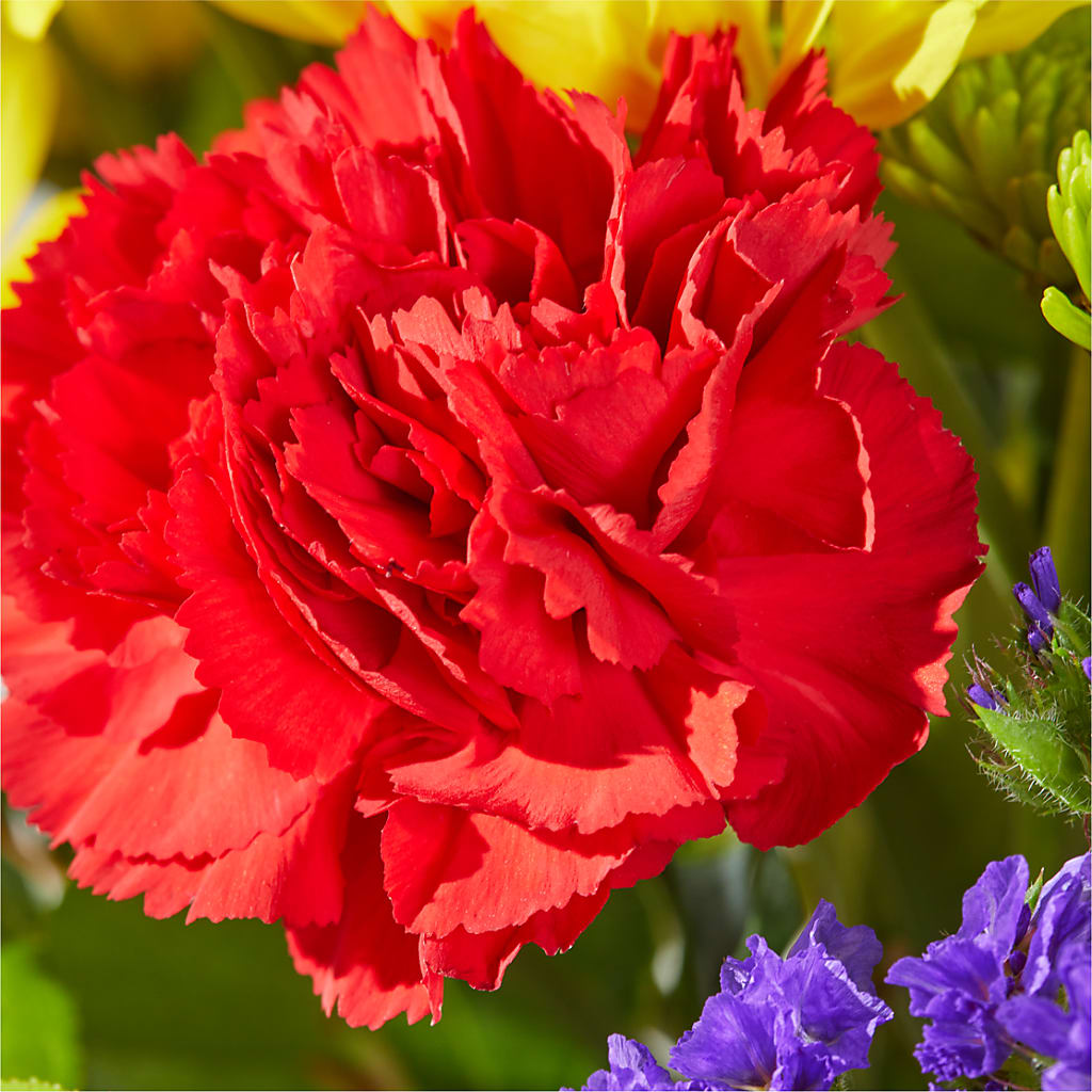 Brighter Days Bouquet – MOREE'S FLORIST & MORE, Columbia MS