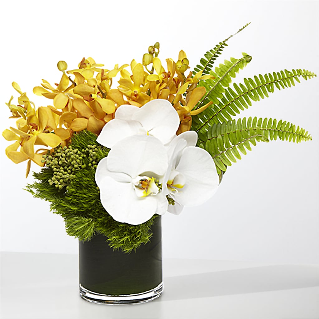The Tropics – MOREE'S FLORIST & MORE, Columbia MS