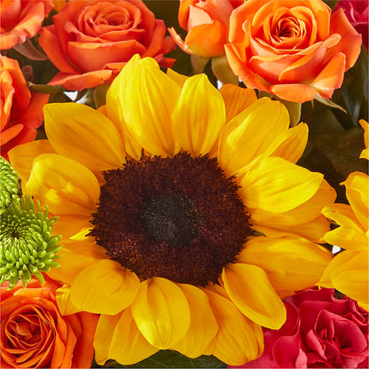 Sun-drenched Blooms Box Bouquet – MOREE'S FLORIST & MORE, Columbia MS