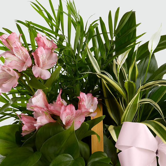 Living Spirit Dishgarden – MOREE'S FLORIST & MORE, Columbia MS