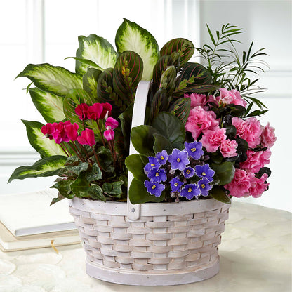 Peaceful Garden Planter – MOREE'S FLORIST & MORE, Columbia MS