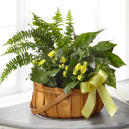 Always Dear Dishgarden – MOREE'S FLORIST & MORE, Columbia MS