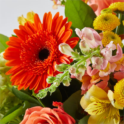 Autumn Sunshine Bouquet – MOREE'S FLORIST & MORE, Columbia MS
