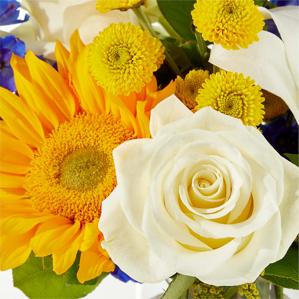 Stargazing Bouquet – MOREE'S FLORIST & MORE, Columbia MS