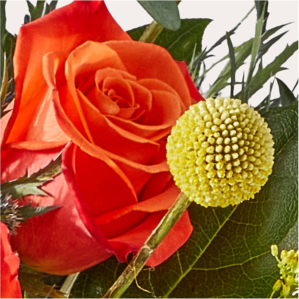 Disco Bouquet – MOREE'S FLORIST & MORE, Columbia MS