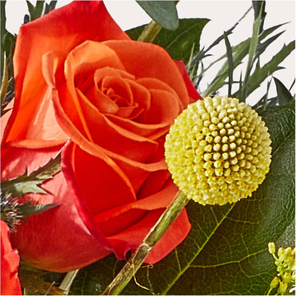 Disco Bouquet – MOREE'S FLORIST & MORE, Columbia MS