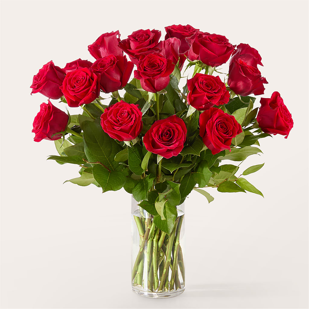 The One Red Rose Bouquet – MOREE'S FLORIST & MORE, Columbia MS