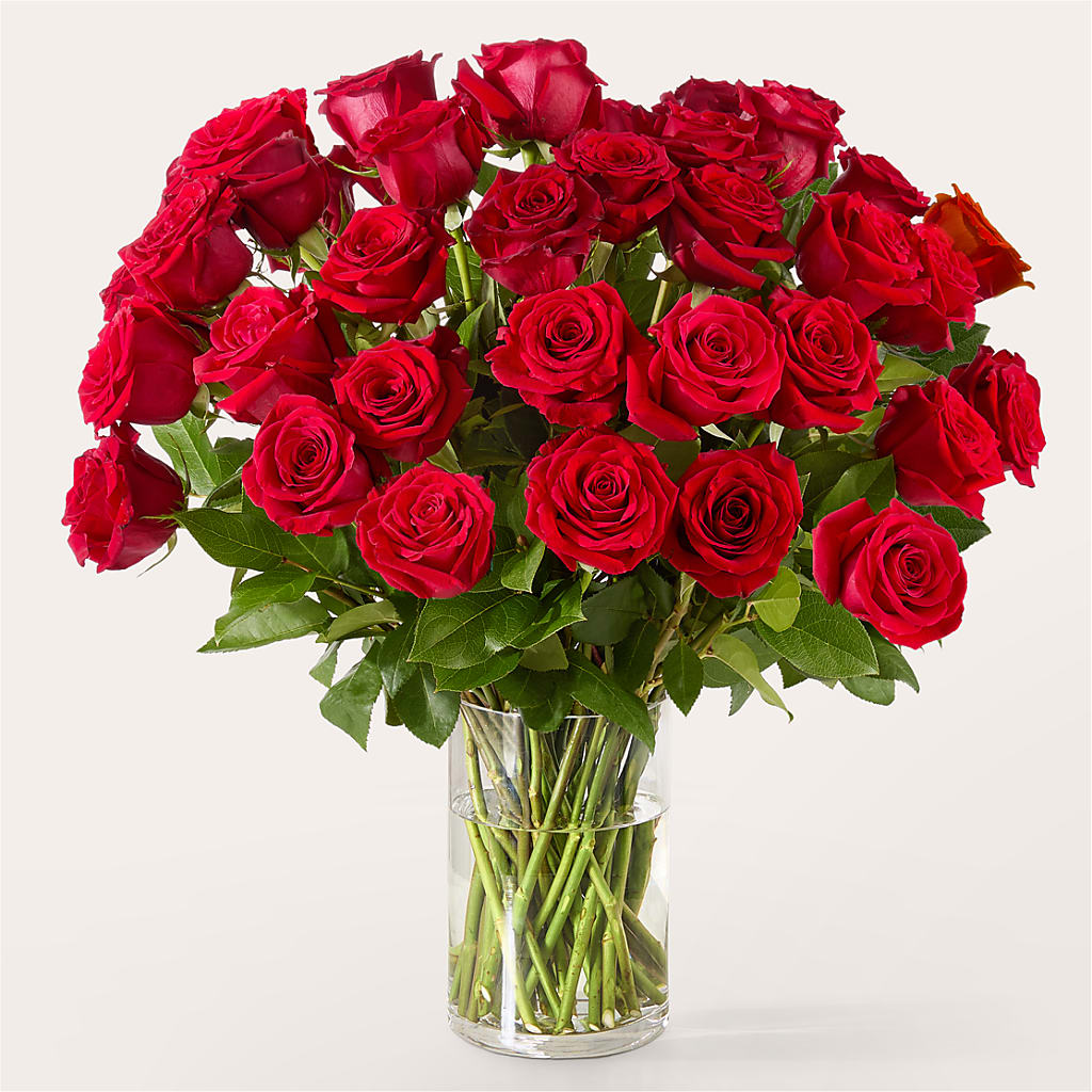 The One Red Rose Bouquet – MOREE'S FLORIST & MORE, Columbia MS