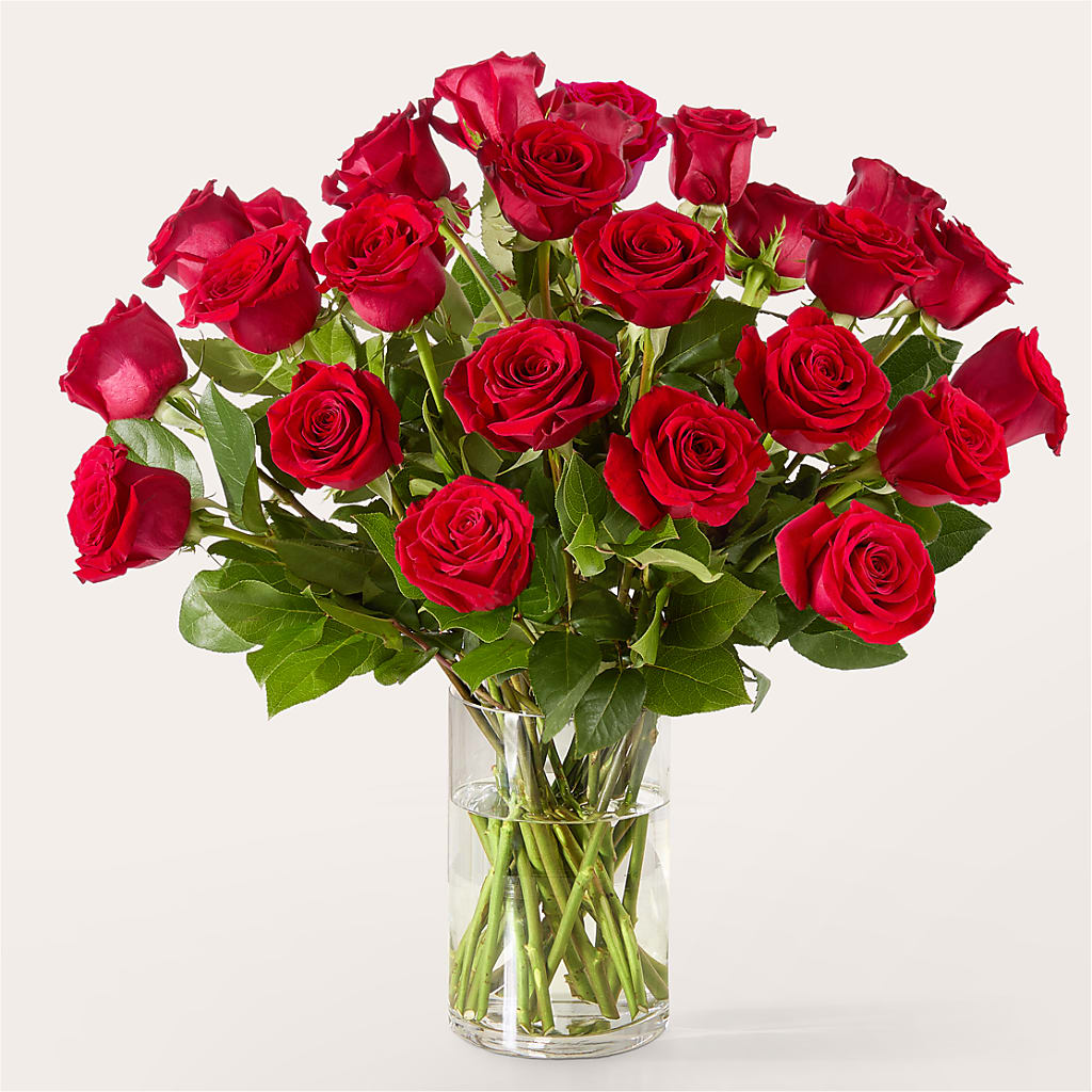 The One Red Rose Bouquet – MOREE'S FLORIST & MORE, Columbia MS