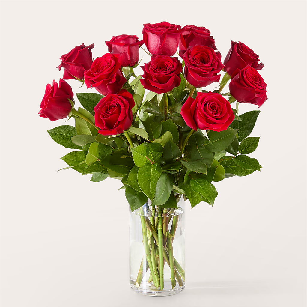The One Red Rose Bouquet – MOREE'S FLORIST & MORE, Columbia MS