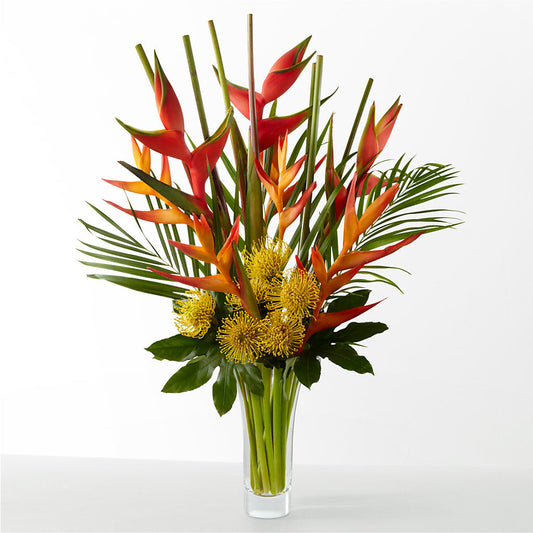 The Drama – MOREE'S FLORIST & MORE, Columbia MS