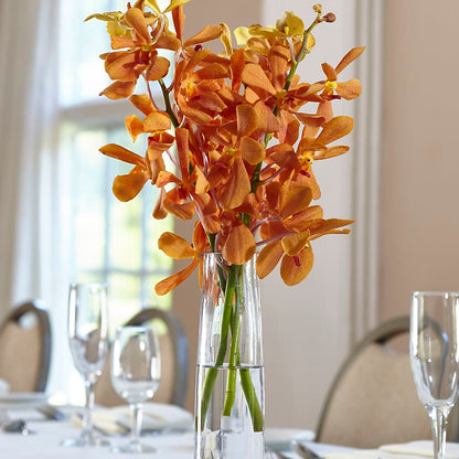 Orange Mokara Bud Vase – MOREE'S FLORIST & MORE, Columbia MS