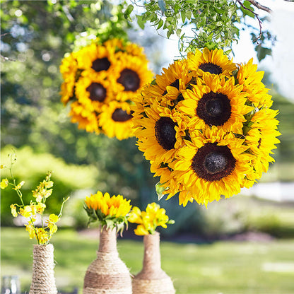 Sublime Garden Hanging Arrangement – MOREE'S FLORIST & MORE, Columbia MS