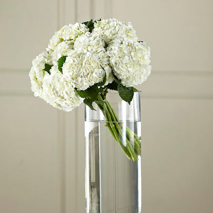 White Hydrangea Hand-Tied Bouquet – MOREE'S FLORIST & MORE, Columbia MS