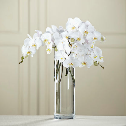 White Phalaenopsis Bouquet – MOREE'S FLORIST & MORE, Columbia MS