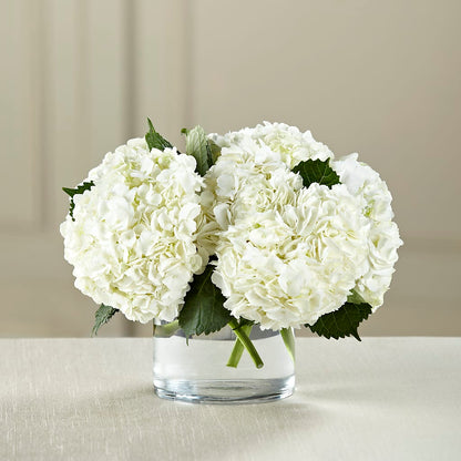 White Hydrangea Bouquet – MOREE'S FLORIST & MORE, Columbia MS